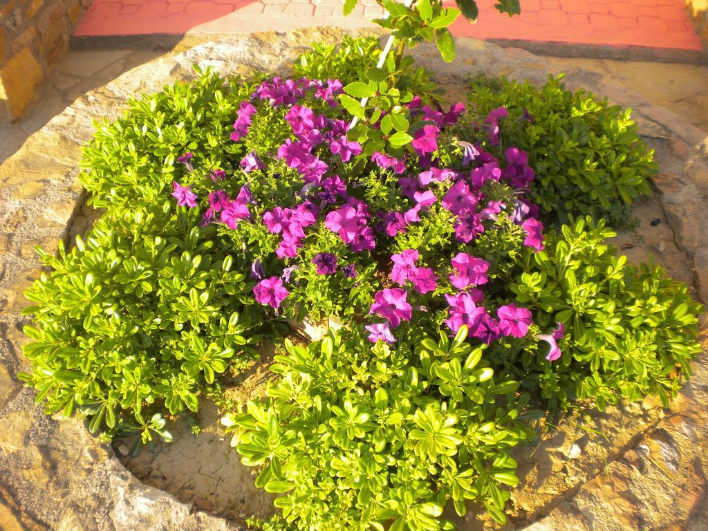 Chios Rooms Myview Karfas Room photo